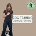 Helping Reactive Dogs Relax - Dog Training - Las Vegas, NV