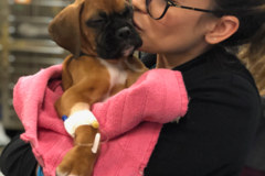 Request Quote: Reliable Vet Tech - In Home Pet Sitting - Bellingham, WA