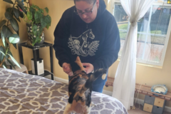 Request Quote: Evergreen Animal Chiropractic  - Greenville, SC
