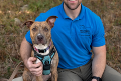 Request Quote: Restored Chiropractic - Animal Chiropractor - Raleigh, NC