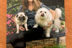 Request Quote: Gentle Goodbye Animal Hospice - Cazenovia, NY