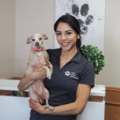 Animal Chiropractor in North Dallas - Carrollton, TX