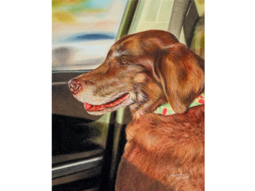 Zoey's Truck Ride