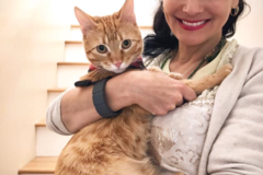 Request Quote: Animal Psychic and Healing Specialist - Nationwide