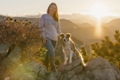 Request Quote: Happy Hounds Dog Training - Aurora, CO