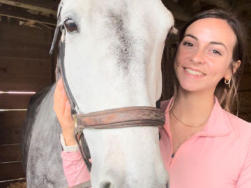 Equine patient 