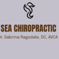 SEA Chiropractic - AVCA Animal Chiropractor - West Palm Beach, FL