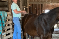 Request Quote: Western Edge Chiropractic - Animal Chiropractors - Rapid City, SD