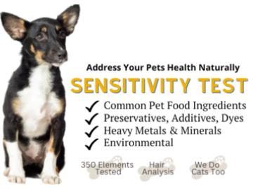 Pet Sensitivity Test