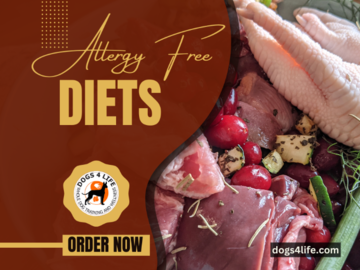 Allergy Free Diets