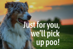 Request Quote: Poop Free Lawns - Pet Waste Removal Services - Bluffton, SC