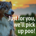 Poop Free Lawns - Pet Waste Removal Services - Bluffton, SC
