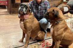 Request Quote: Pet Sitting Concierge - Linn Creek, MO