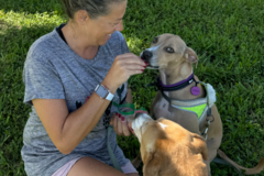 Request Quote: Janelle Chapman - Pro In Home Pet Sitter - Cape Coral, FL