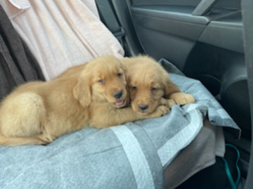 Love to see them happy
