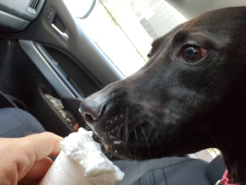 We love to give them treats