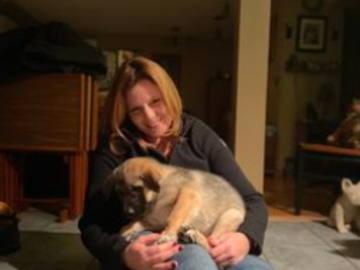 Me meeting a German Shepherd X puppy heading to his new home.