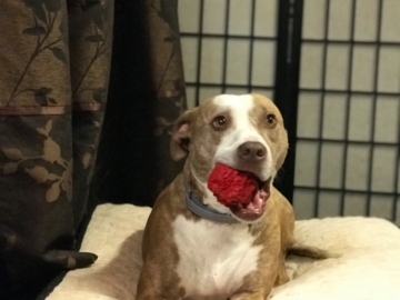 Ms. Lexi