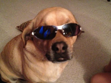 Melmin the Puggle