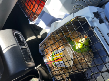 Sellersburg IN - Granger IN (Bird Transport)