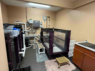Underwater Treadmill Room