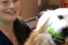 Request Quote: Intuitive Animal Reiki - Nationwide