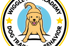 Request Quote: Certified Professional Dog Trainer and Behaviorist - Frisco, TX
