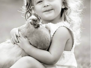 Chicken Family Session