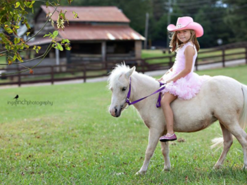 Pony Rides