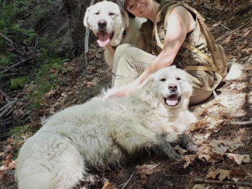 pet nutritionist Redding California