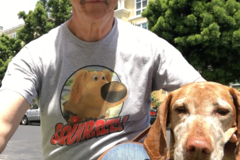 Request Quote: iSit and iWalk Pet Sitting Services