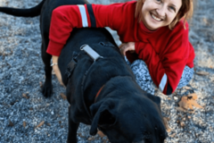 Request Quote: RUFF Routine - In Home Pet Sitting  - Clearwater, FL