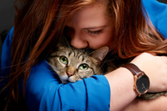 Request Quote: Willow Street Pictures - Pet Photographer - Harleysville, PA