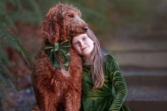 Request Quote: Fine Art Pet Portrait Photography - Kirkland, WA