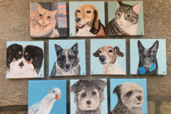 Request Quote: Kennedy - Custom Pet Portrait Artist  - Nationwide