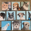 Kennedy - Custom Pet Portrait Artist  - Nationwide