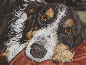 "Toby" Pastel 5x7"