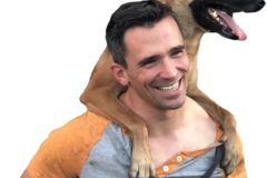 Request Quote: In Person and Virtual Online Dog Training - Carmel, IN