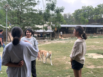 Training at the shelter