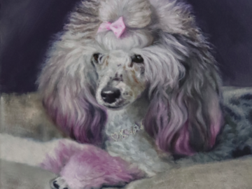 Poodle oil portrait painting