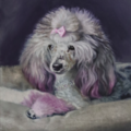 Lisa Bane Art - Pet Portrait Artist - Nationwide