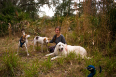 Request Quote: Dog and Cat - Diet and Nutrition Consultant - Nationwide
