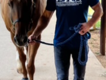 Self & Equine