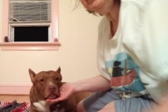 Request Quote: Paws 4 Healing - Animal Communicator and Usui Reiki  - Nationwide