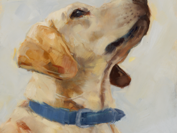 Golden Lab