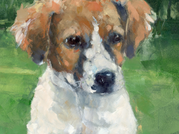 Pet Portrait Spaniel mix