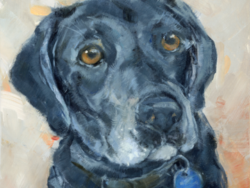 Black Lab