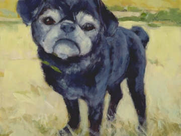 Black Pug