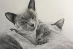 Request Quote: Experienced Pet Portrait Artist - Nationwide