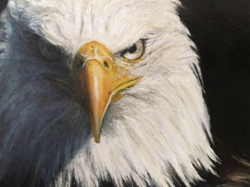 Eagle, oil painting